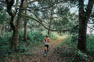 BIB: 
                            <button type="button" onclick="openModal(25662536)" class="btn btn-primary btn-sm float-right btn-popup" data-toggle="modal" data-target=".modal-high-quality">
                        <i class="fas fa-shopping-cart"></i> Add to Cart
                    </button>
                                            <button type="button" onclick="isThisMe(25662536, true)" class="btn btn-success btn-sm float-right btn-popup btn-isme hidden" data-toggle="tooltip" data-placement="bottom" title="นี่คือรูปของคุณใช่ไหม คลิกที่นี่เพื่อเอาเข้าอัลบั้ม">
                        <i class="fas fa-plus"></i> Add to album
                    </button>
                    <button type="button" onclick="isThisMe(25662536, false)" class="btn btn-warning btn-sm float-right btn-popup btn-isnotme hidden">
                        <i class="fas fa-ban"></i> Remove from album
                    </button>